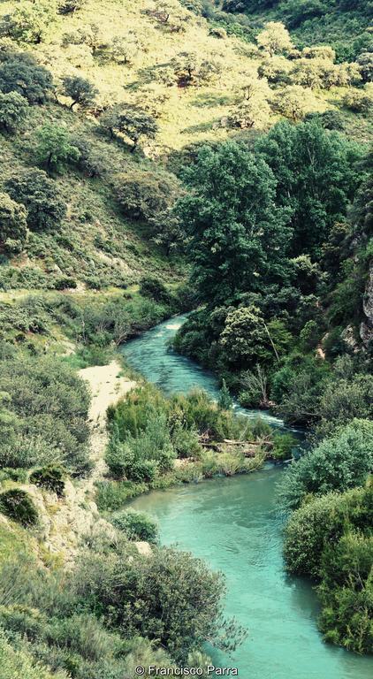 Casa Rural El Nacimiento Benaoján エクステリア 写真