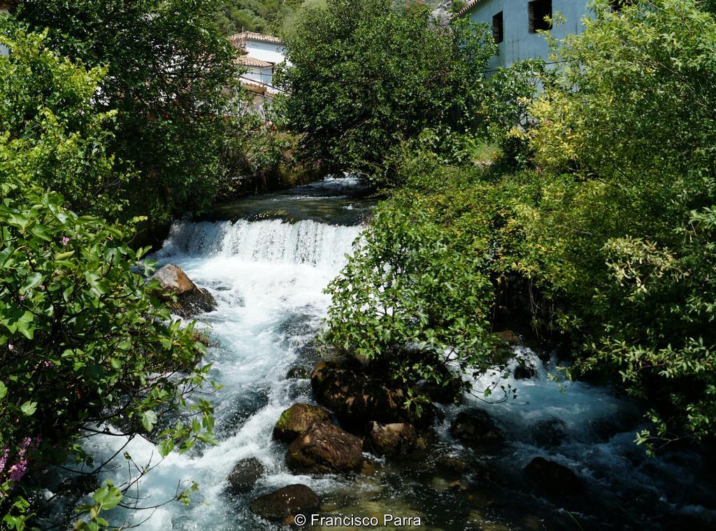 Casa Rural El Nacimiento Benaoján エクステリア 写真