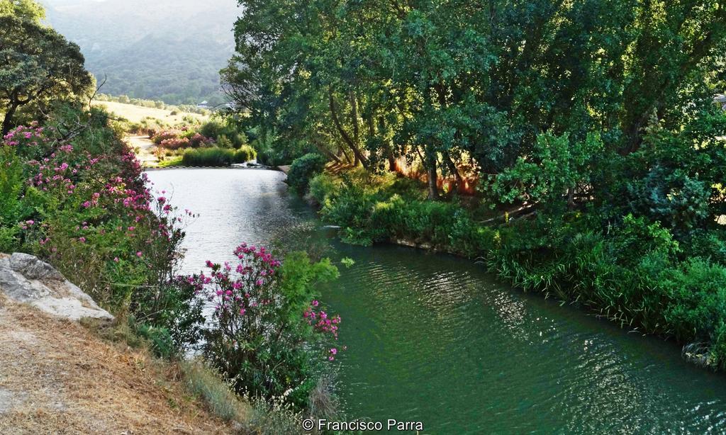 Casa Rural El Nacimiento Benaoján エクステリア 写真