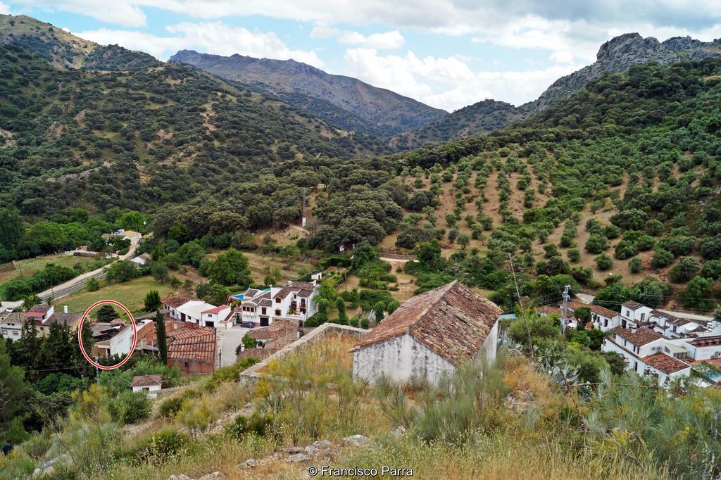 Casa Rural El Nacimiento Benaoján エクステリア 写真