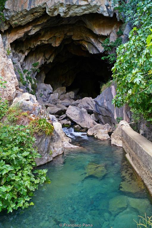 Casa Rural El Nacimiento Benaoján エクステリア 写真