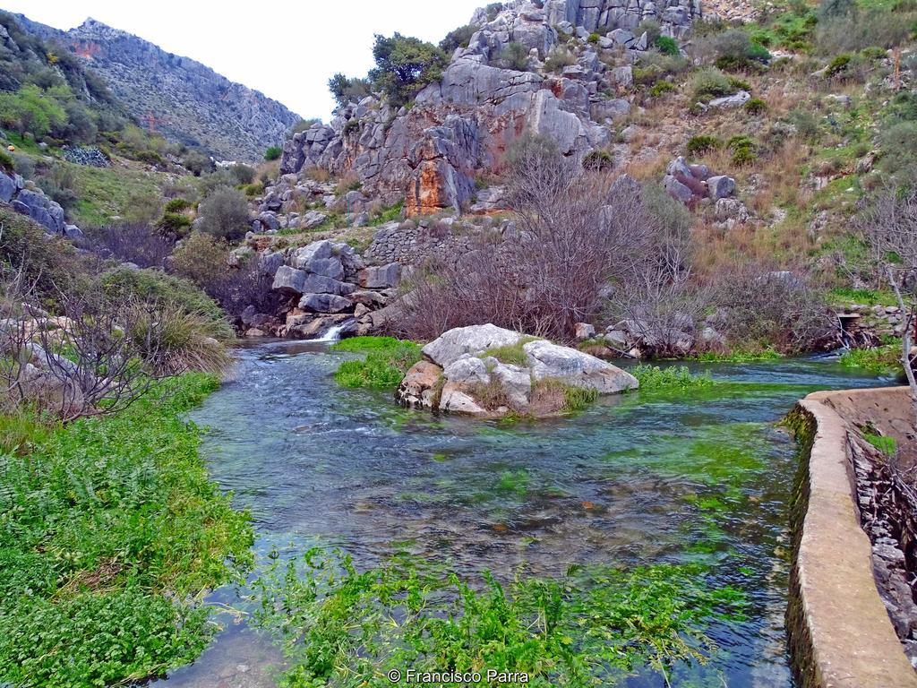 Casa Rural El Nacimiento Benaoján エクステリア 写真