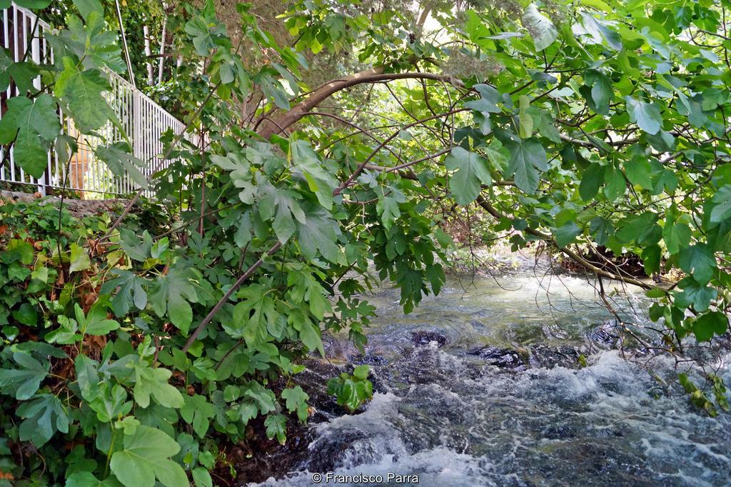Casa Rural El Nacimiento Benaoján エクステリア 写真